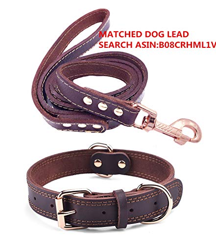 Collar de piel de alta calidad para perro, tacto suave resistente ajustable, perfecto para hombres y mujeres perros pequeños medianos y grandes