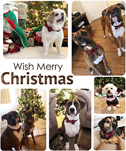 Collar navideño para perros de Navidad con pajarita - 100% algodón Diseño de nylon Collar para perros ajustable hecho a mano - Moda linda para perros pequeños medianos grandes