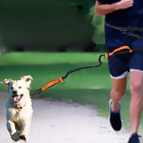 Correa para perros Yuekun para correr, pasear, sin manos, elástica, con correa para el vientre, ajustable, con cinturón deportivo, para perros grandes
