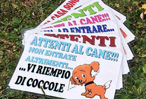 CRAZY FAMILY SHOP Placa Cuidado con EL Perro” para ser aplicada en la Puerta Terranova Tamaño 30 x 21.5 cm