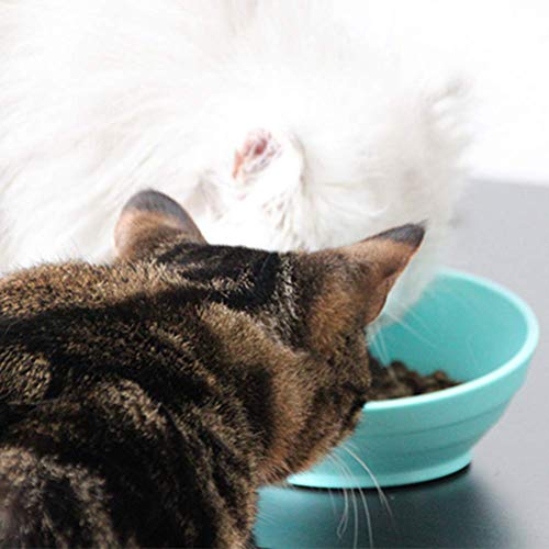 Cuenco para Mascotas Cuencos para Perros y Gatos Cuencos oblicuos para Gatos Silicona Antideslizante Bisel fácil de Comer Inclinado Anti-Choke Adecuado para Gatos y Perros Mascotas, Rosa