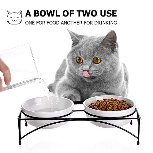 Cuencos de agua y comida para gatos con soporte, cuencos elevados para gatos o perros, platos de cerámica para gatos, 12 onzas, apto para microondas y lavavajillas