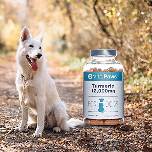 Curcumina 12,000mg para perros - Enriquecido con vitamina C y con extracto de pimienta negra para una mejor biodisponibilidad - 180 Cápsulas - VitaPaws