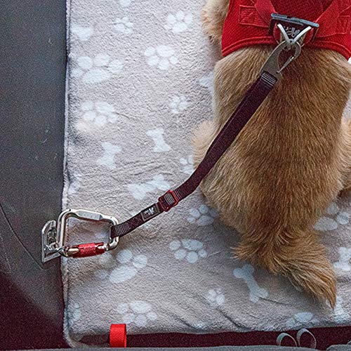 Curli Cinturón de Seguridad para Perros para Coche