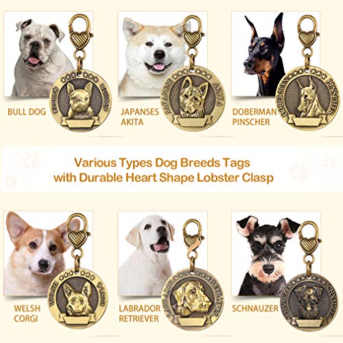 Custom4U Placa de Identidad para Perros Etiquetas Redondas Zinc 3D Relieve Dog Tag Personalizado con Nombres Grabados para Bull Terrier