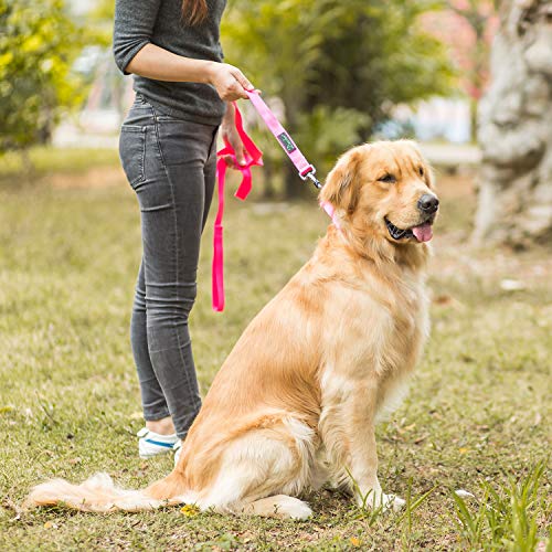 Dazzber Martingal Fuerte Collares para Perro Grande/Mediano/Pequeño, Ajustable - Resistente - No Escapatoria - Color Sólido - Nylon Collar de Perro de Seguridad