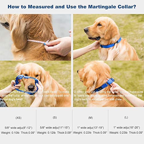 Dazzber Martingal Fuerte Collares para Perro Grande/Mediano/Pequeño, Ajustable - Resistente - No Escapatoria - Color Sólido - Nylon Collar de Perro de Seguridad