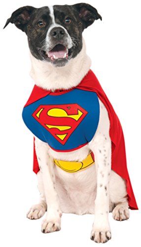 DC Comics - Disfraz de Superman para mascota, Talla L perro (Rubie's 887892-L)