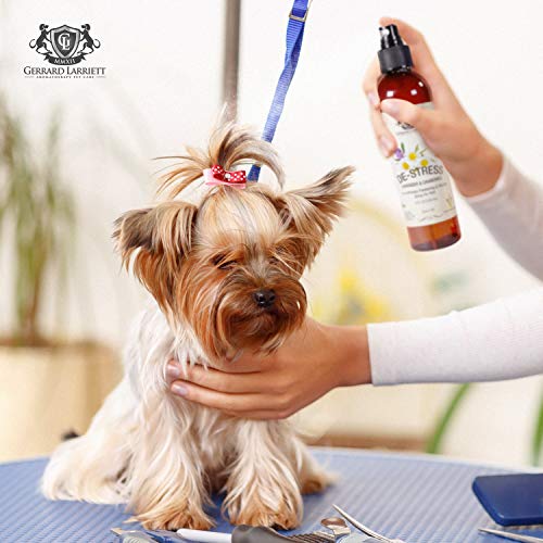 De-Stress Lavanda y Manzanilla Aromaterapia Refrescar y brillante en spray para los animales domésticos, la preparación del perro del aerosol, Perfume Perro, Perro de Colonia y Pet Odor Eliminator