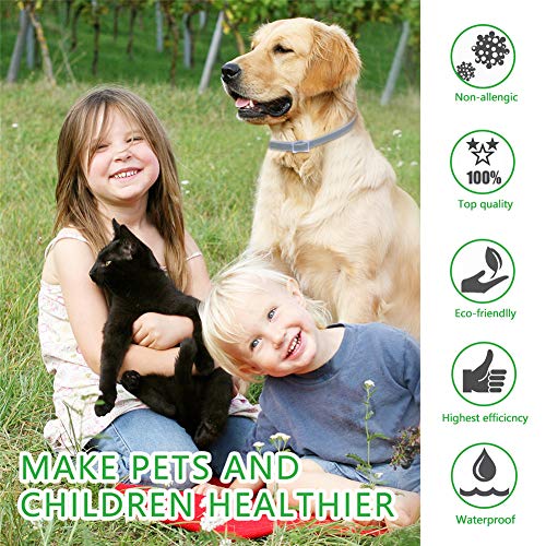 DEWEL Collar Antiparasitos Perro/Gato para Pulgas,Garrapatas y Mosquitos,Impermeable/Ajustable - 63 cm