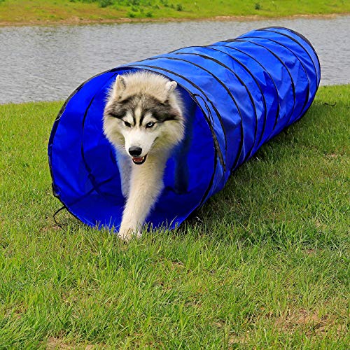 Dibea Túnel para Perros, túnel para Gatos, túnel de Juegos, túnel de Agilidad para Mascotas en Varios tamaños, Color Azul (L) 500 x 60 cm