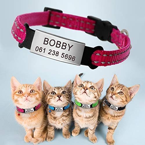 Didog - Collar para gatos con placa de acero inoxidable personalizable, reflectante, sin ruido, deslizable, para gatos y perros pequeños