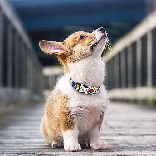 Didog - Collares personalizados para perros con hebilla de liberación rápida grabada, diseños modernos, para perros pequeños, medianos y grandes