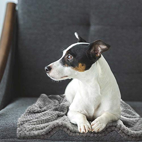 DIGIFLEX XL Manta de Perro Esponjosa - Manta de Mascota de Vellón Premium - Snug y Suave Alfombra para Perros, Cachorros y Gatos - Lavable a Máquina - Acogedor Consolador - Color Gris - 98 x 70cm