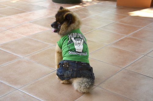 Doggy Dolly C146 Perros Combi Jeans Heavy, Verde