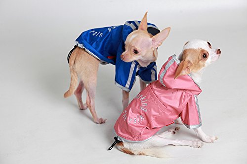 Doggy Dolly dr008 Outdoor Lluvia Abrigo/Chaqueta Impermeable para Perros Corteza Dos Huellas, Color Azul