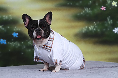 Doggy Dolly S025 Polo Camisa de Perros Bulldog francés, Color Blanco