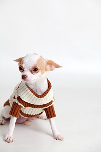 Doggy Dolly W052 – Jersey de Punto para Perros, Color Rosa y Blanco Rayas