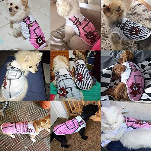 DXQDXQ Camiseta for Mascotas Camiseta de Algodón for Perro o Gato Mascota Chaleco Cómoda for Cachorro de Primavera Otoño Ideal for la Temporada de Verano (Color : 5, Size : XXL)