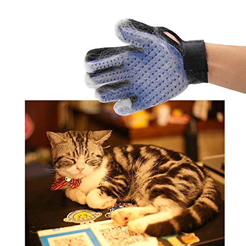 Eco-Fused Kit de Cepillos para Gatos 1x Cepillo Self Groomer para Gatos, 1x Cepillo Práctico Azul, 1x Guante Estilo Cepillo para Mascotas (Mano Derecha) – para Pelaje Corto y Largo