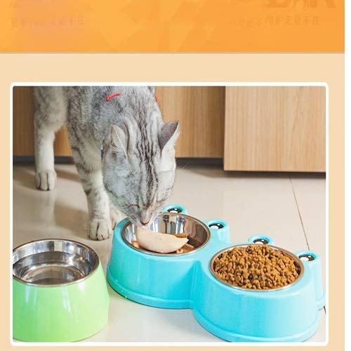 El Gato y el Perro tazón de Acero Inoxidable Doble es Adecuado for el Agua Potable en Grandes Perros y Gatos recipientes de Comida (Color : Green)