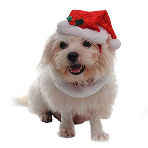 Fablcrew - Gorro de Navidad para mascotas, diseño de Papá Noel con collar para perros pequeños