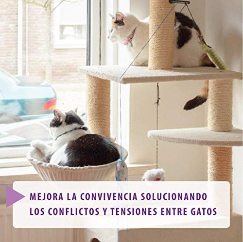 FELIWAY Friends - Anticonflictos para gatos - Peleas, Persecuciones, Bufidos, Bloqueos - Pack ahorro 3 recambios 48 ml