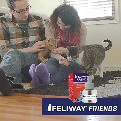 Feliway Friends - Bote de Recambio para 30 días, 48 ml