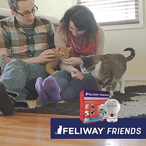Feliway Set de iniciación Friends
