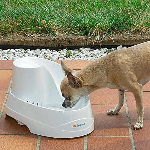 Ferplast Fuente automática para Gatos y Perros de Talla pequeña Vega, dispensador de 2 litros de Agua para Animales, Incluye Filtro de carbón Activo, 23,1 x 29,7 x h 16,2 cm Blanco