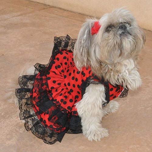 Folk Artesanía Vestido para Mascotas Flamenca o andaluza Lunares. Ideal para tu Perro. Fabricado en España (XS)