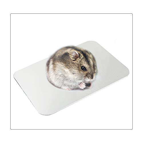 FurPaw Alfombra de Enfriamiento para Mascotas Almohadilla de Autoenfriamiento Animales Pequeños para Hamster Conejillo de Indias Gato Conejo - 20 * 14cm