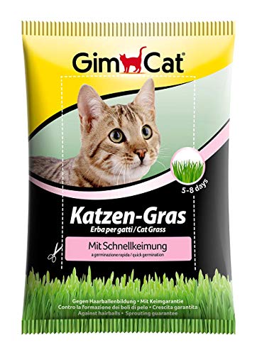 GimCat hierba de rápida germinación para gatos - Hierba para gatos de plantación controlada - De rápido cultivo en 5-8 días - 1 bolsa (1 x 100 g)