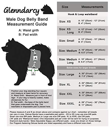 Glenndarcy - Banda para el Ombligo para Perro con orina I, Reloj Negro, tamaño Mediano
