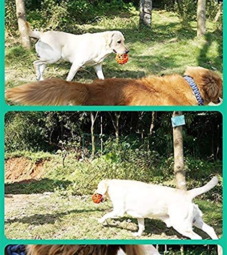 Gouwo Mascota Juguetejuguetes para Mascotas Juguetes para Perros De Entrenamiento De Perros De Entrenamiento De Alpinia para Perros con Fugas Y Dientes De Mordida Tamaño: 12.5Cm Nido de mascotas