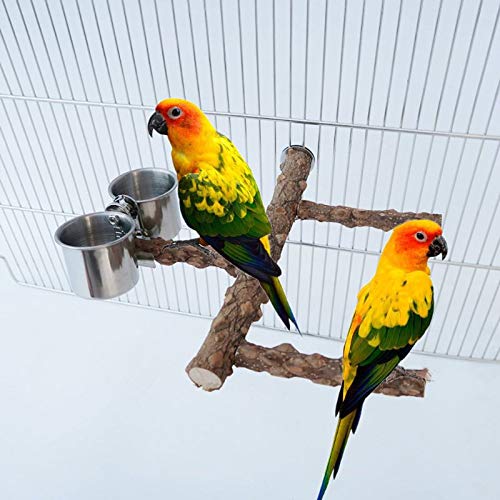 GSDJU Juguetes,Parrot Perch Nature Wood Prickly Bird Stand Taza de alimentación Grinding Stick Platform