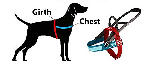 Guía, asistencia, movilidad Nylon arnés del perro ajustable y ligera – Talla M