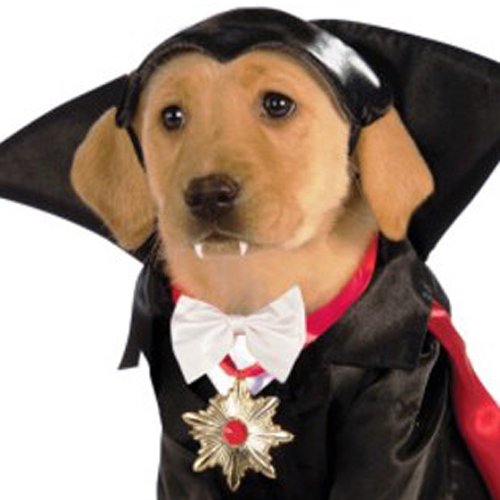 Halloween - Disfraz de Drácula para mascota, Talla S perro (Rubie's 887862-S)