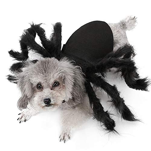 Halloween Ropa Perro Gato Invierno Calentar, Morbuy Cosplay Araña Mascota Fiesta Disfraces Sudaderas Suéter Vestido para pequeños Animal Accesorios para el Pelo (S,Araña Negra)