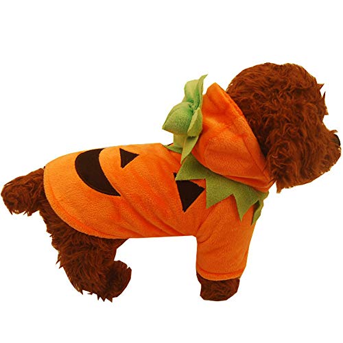 Halloween Ropa Perro Gato Invierno Calentar, Morbuy Mascota Calabaza Cosplay Fiesta Disfraces Sudaderas Suéter Vestido para pequeños Animal Accesorios para el Pelo (M,Naranja)
