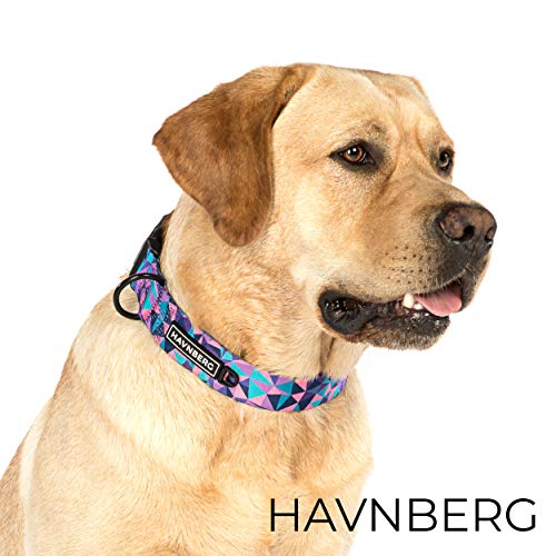 HAVNBERG - Collar para Perros, Talla S Circunferencia del Cuello 29 cm – 39 cm, Collar para Perros pequeños o Cachorros, Ancho 1,5 cm, Collar para Cachorros, diseño geométrico Triangular Lila.