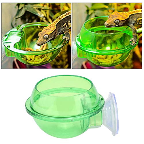 Hffheer Reptiles Alimentador de Ventosa Mini Reptil Recipiente de Comida Plástico Duradero Cuencos de Tortuga Geckos Serpientes Camaleón Iguana Alimento y Agua