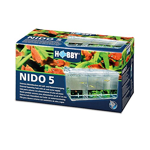 Hobby 61390 Nido 5.