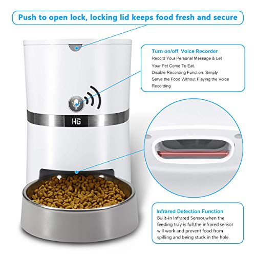HoneyGuaridan A36 Alimentador Automático De Mascotas, Capacidad 13 Tazas