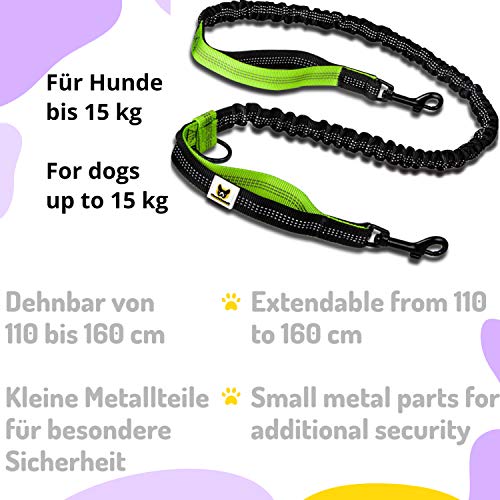 Hundefreund Correa Manos Libres para Perros pequeños de hasta 15 kg Correa elástica Reflectante y Extensible de 110 a 160 cm