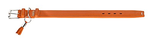 Hunter Cannes piel cuello color naranja, 49 - 57 cm, 3.5 cm de ancho