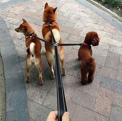 IDEAPRO - Correa para perro de 3 vías, reflectante desmontable, con mango acolchado ajustable y ajustable, para caminar uno, dos, tres perros