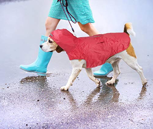 Idepet - Chaqueta impermeable con capucha para perro con aberura para el cuello, poncho reflectante para perro, resistente al viento, para perros pequeños, medianos y grandes