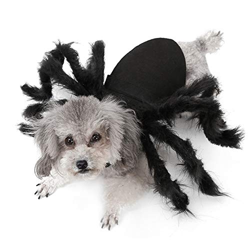 Idepet Mascota Perro Disfraz de Halloween Sombrero de perro Sombrero de cuernos de diablo Fiesta Perros Gatos Disfraz de vacaciones Accesorios decorativos para el cabello para cachorros
