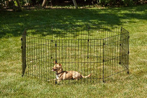 Iris Ohyama, parque para perros / jaula al aire libre / recinto / perrera - Wire Pet Circle - 24 pulgadas, epoxi, negro, 1.5m², 60 x 60 cm